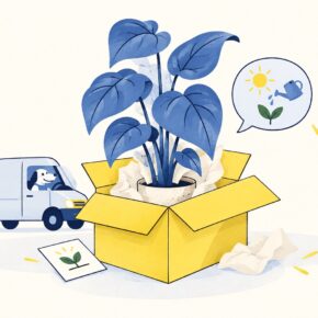 123planten: persoonlijk advies van webshop tot voordeur